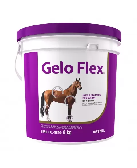 Vetnil Gelo Flex Balde 6kg