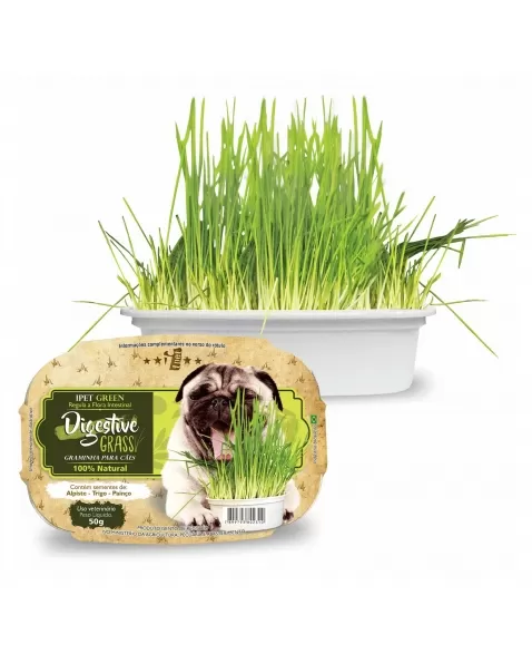 Ipet Graminha Green Digestive Grass Cães 50g