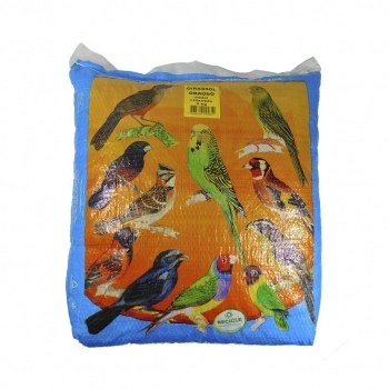 Semente Girassol Gigante 5kg